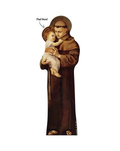 St Anthony Decal