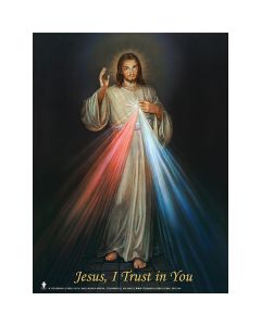 Divine Mercy Laminated Teaching Poster