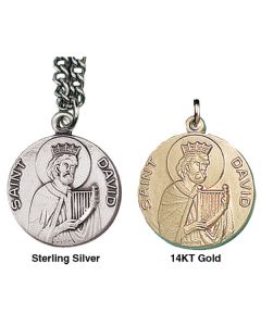 David Large Patron Saint Medal
