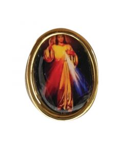 Divine Mercy Pray For Us Pin