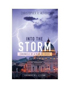 Into the Storm by Christopher R Altieri