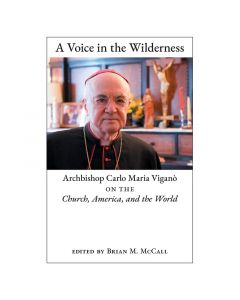 A Voice in the Wilderness by Brian McCall