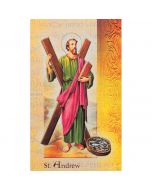 Andrew Mini Lives of the Saints Holy Card